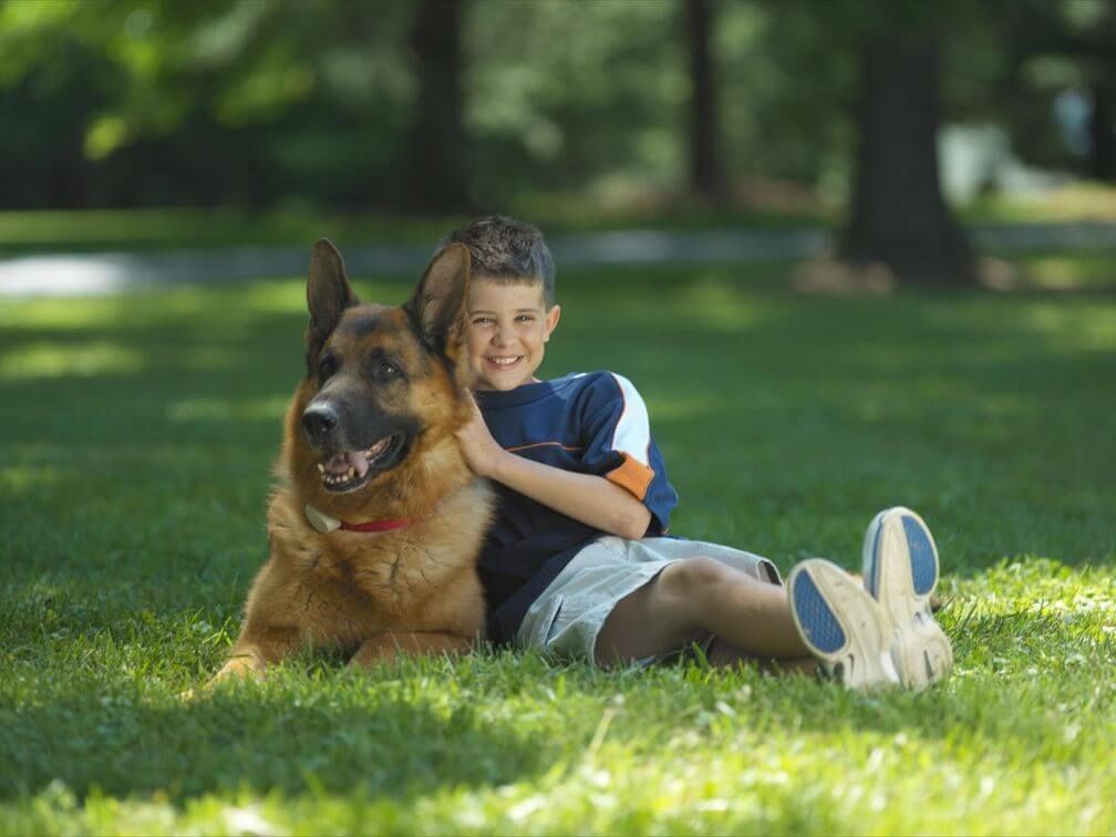 Smiling boy sitting on grass with his German Shepherd in a safely fenced yard, showing the benefits of a hidden invisible pet fence.