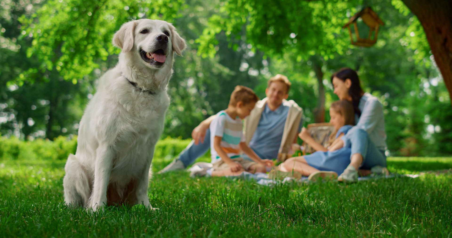 Happy family with dog in backyard — Pet Stop of Eastern Washington hidden fence customer